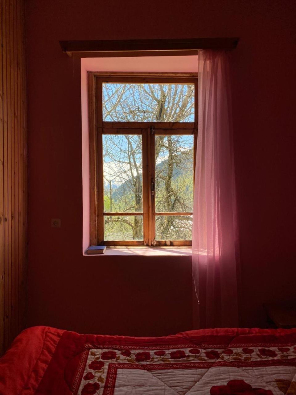 Lia Jamdeliani Guest House Bagvdanari Værelse billede