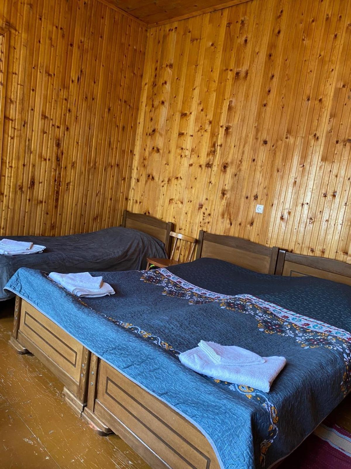 Lia Jamdeliani Guest House Bagvdanari Eksteriør billede